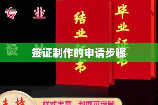 莱山签证制作的申请步骤