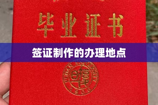莱山签证制作的办理地点