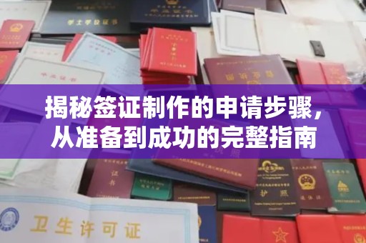 莱山揭秘签证制作的申请步骤，从准备到成功的完整指南