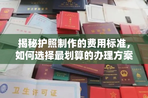 莱山揭秘护照制作的费用标准，如何选择最划算的办理方案？