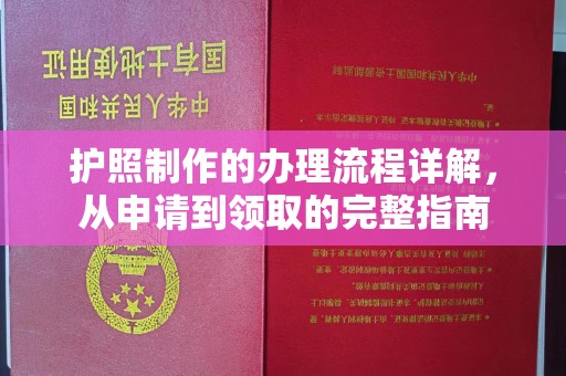莱山护照制作的办理流程详解，从申请到领取的完整指南