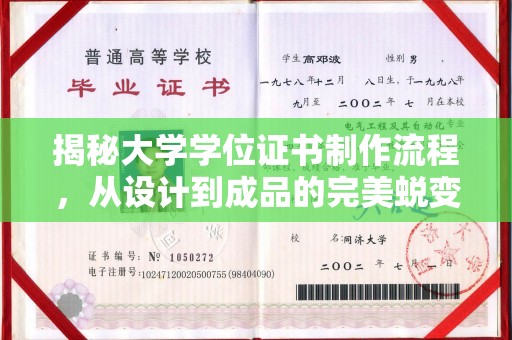 莱山揭秘大学学位证书制作流程，从设计到成品的完美蜕变