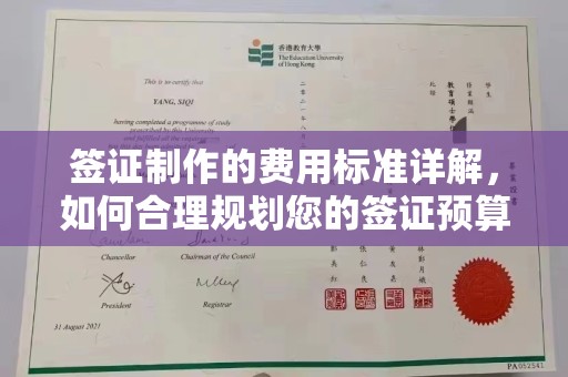 莱山签证制作的费用标准详解，如何合理规划您的签证预算