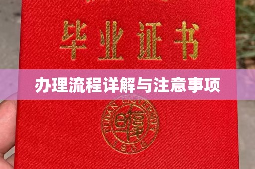 莱山办理流程详解与注意事项